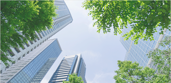 Offices / Factories / Affiliates